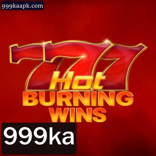 Descubra o mundo cativante de HotBurningWins: Regras e Introdução